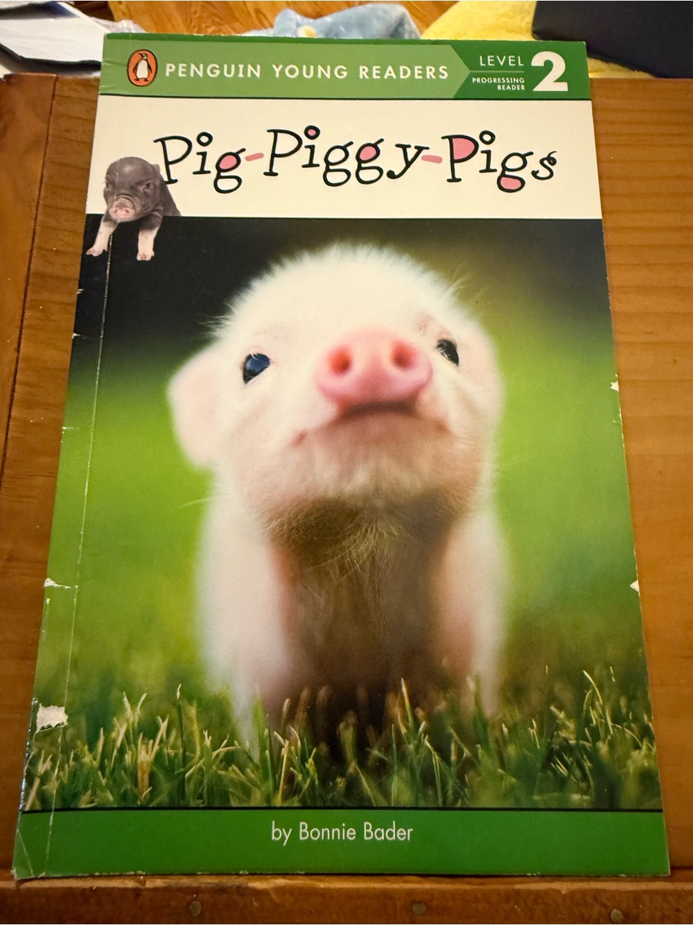 Pig-Piggy-Pigs Penguin Young Readers Level 2 by Bonnie Bader